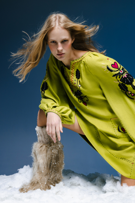 Molfar Dress in Light Green